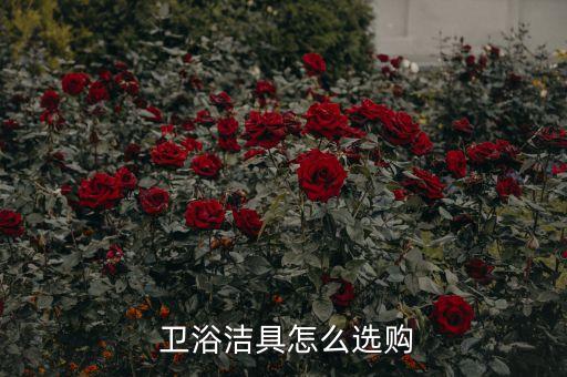  衛(wèi)浴潔具怎么選購(gòu)