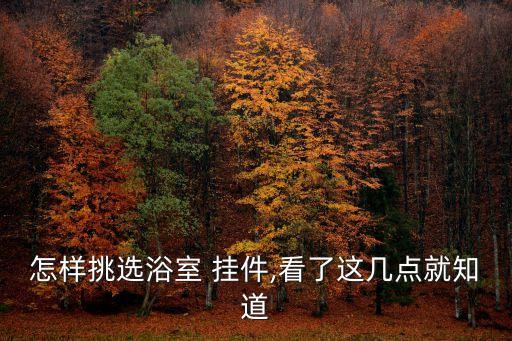 怎樣挑選浴室 掛件,看了這幾點就知道
