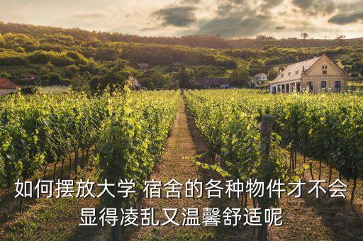衛(wèi)浴改造收納好物宿舍圖片