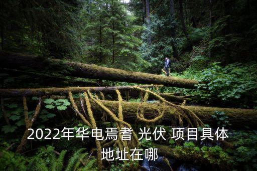 2022年華電焉耆 光伏 項目具體 地址在哪