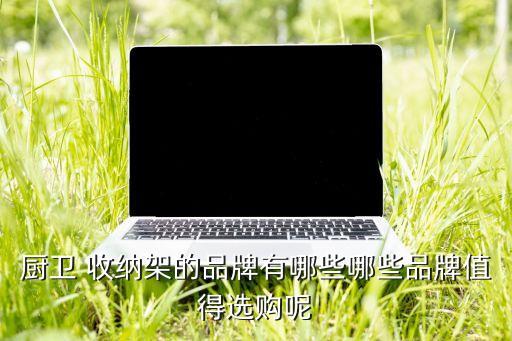 衛(wèi)浴日本收納置物架品牌,廚房收納置物架有什么品牌好
