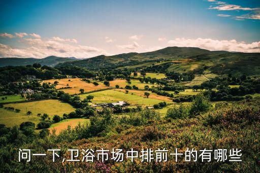 問一下,衛(wèi)浴市場中排前十的有哪些