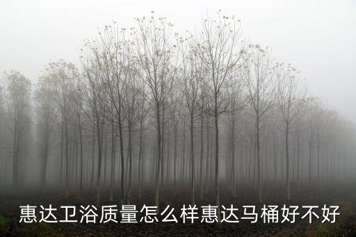  惠達衛(wèi)浴質(zhì)量怎么樣惠達馬桶好不好