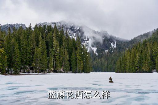 藍藤花灑怎么樣