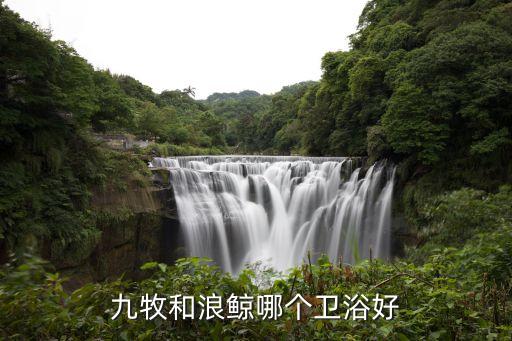 九牧和浪鯨哪個(gè)衛(wèi)浴好