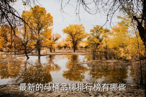 維可陶衛(wèi)浴十大品牌