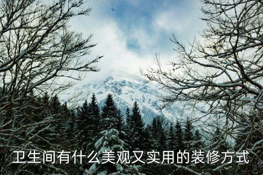 衛(wèi)生間有什么美觀又實(shí)用的裝修方式
