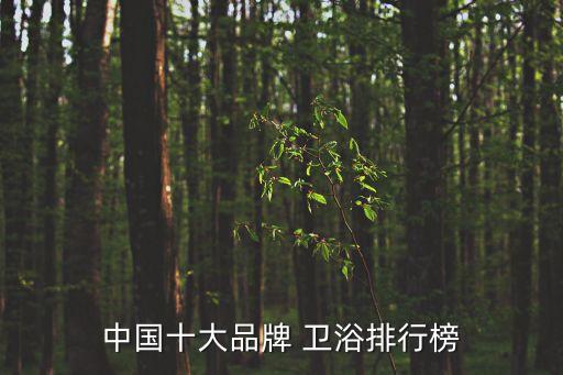 大牌衛(wèi)浴有哪種品牌好用