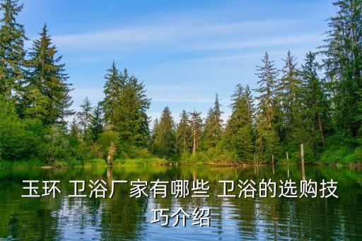 玉環(huán) 衛(wèi)浴廠家有哪些 衛(wèi)浴的選購(gòu)技巧介紹