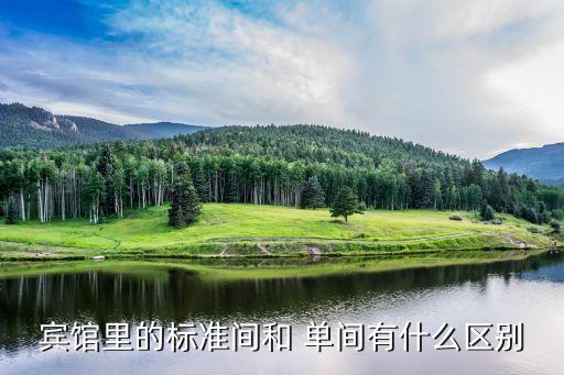賓館里的標(biāo)準(zhǔn)間和 單間有什么區(qū)別