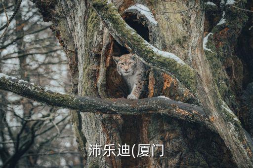 沛樂(lè)迪(廈門