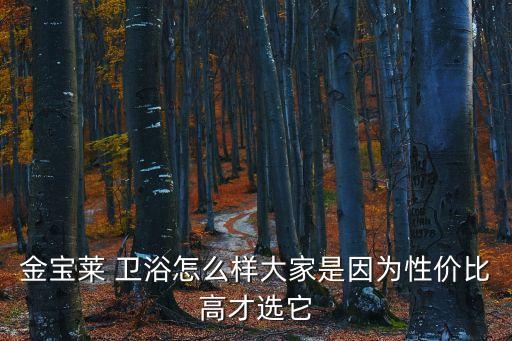 水東衛(wèi)浴價格表及圖片,過江龍衛(wèi)浴價格表圖片