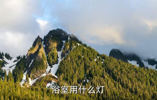 浴室用什么燈