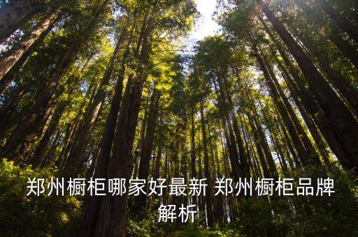  鄭州櫥柜哪家好最新 鄭州櫥柜品牌解析