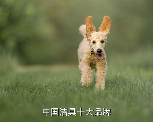 中國(guó)潔具十大品牌