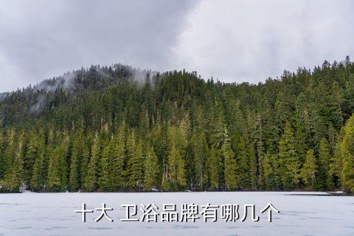 全程衛(wèi)浴服務(wù)商標(biāo)圖片,九牧王衛(wèi)浴商標(biāo)圖片