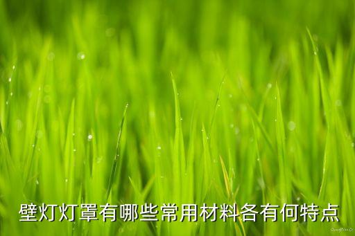  壁燈燈罩有哪些常用材料各有何特點(diǎn)