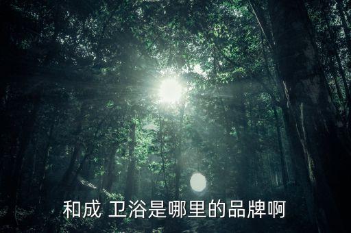 和成 衛(wèi)浴是哪里的品牌啊