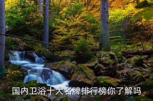 國內衛(wèi)浴十大名牌排行榜你了解嗎