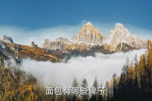 mage是什么品牌衛(wèi)浴,ssww是什么衛(wèi)浴品牌