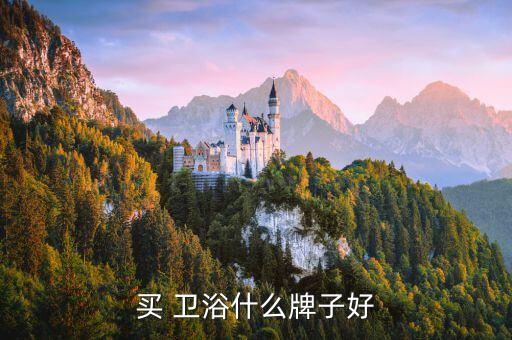 買 衛(wèi)浴什么牌子好
