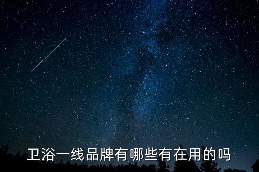 衛(wèi)浴一線品牌有哪些有在用的嗎