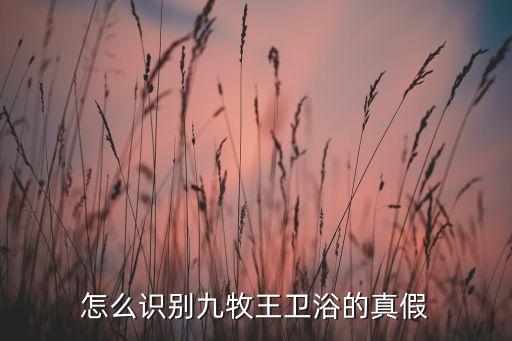 朗彩衛(wèi)浴logo圖片,蒙娜麗莎衛(wèi)浴logo圖片