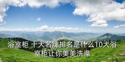 小眾衛(wèi)浴柜推薦十大品牌