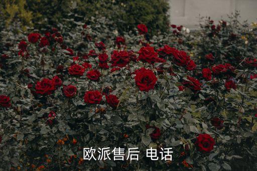 歐派售后 電話