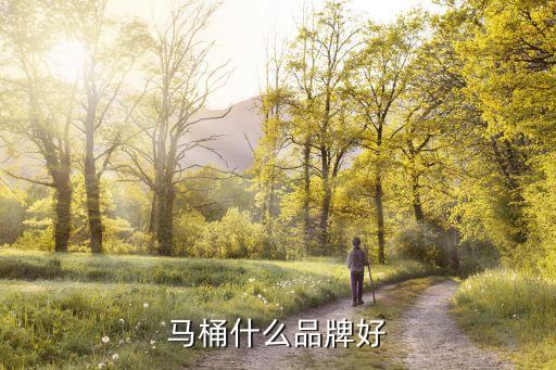 馬桶什么品牌好