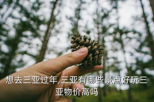 想去三亞過(guò)年,三亞有哪些景點(diǎn)好玩三亞物價(jià)高嗎