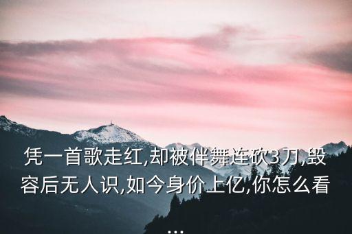憑一首歌走紅,卻被伴舞連砍3刀,毀容后無(wú)人識(shí),如今身價(jià)上億,你怎么看...
