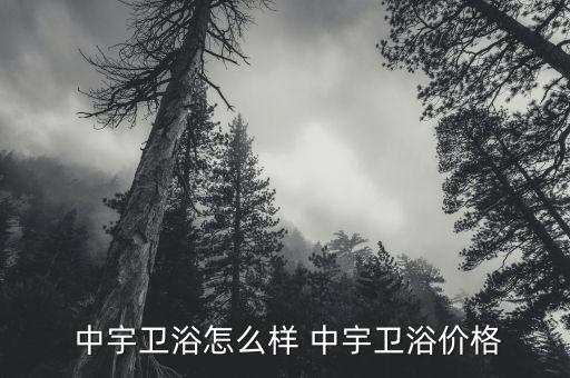  中宇衛(wèi)浴怎么樣 中宇衛(wèi)浴價(jià)格