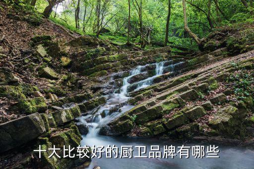 十大比較好的廚衛(wèi)品牌有哪些