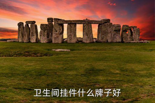 衛(wèi)生間掛件什么牌子好