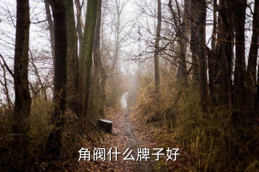衛(wèi)浴渾水閥品牌排名榜最新