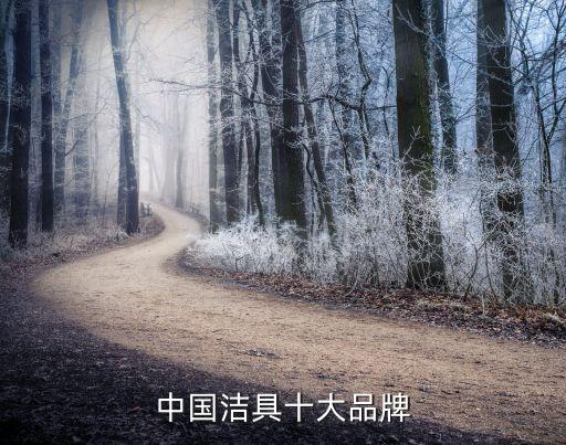 中國潔具十大品牌