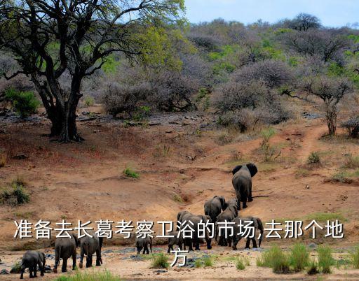 準(zhǔn)備去長葛考察衛(wèi)浴的市場,去那個地方