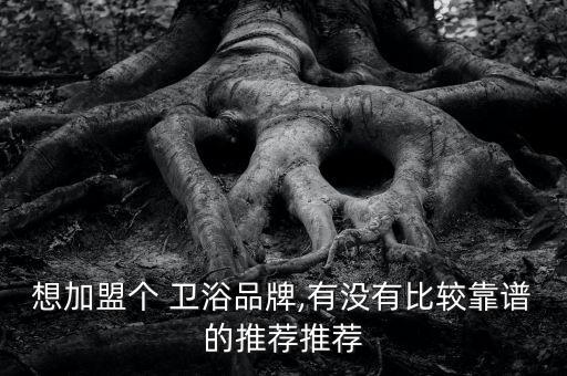 想加盟個(gè) 衛(wèi)浴品牌,有沒有比較靠譜的推薦推薦