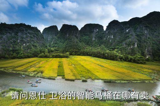 請(qǐng)問(wèn)恩仕 衛(wèi)浴的智能馬桶在哪有賣(mài)