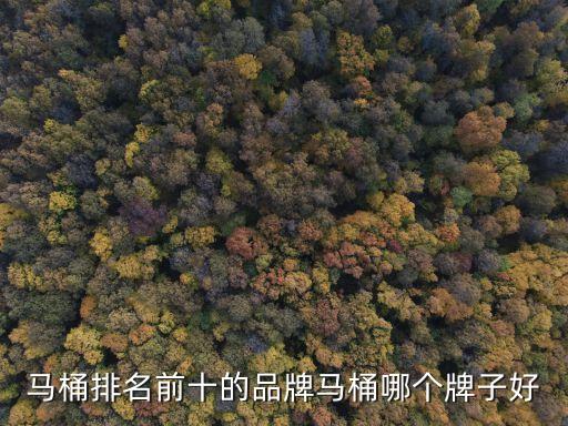 馬桶排名前十的品牌馬桶哪個(gè)牌子好