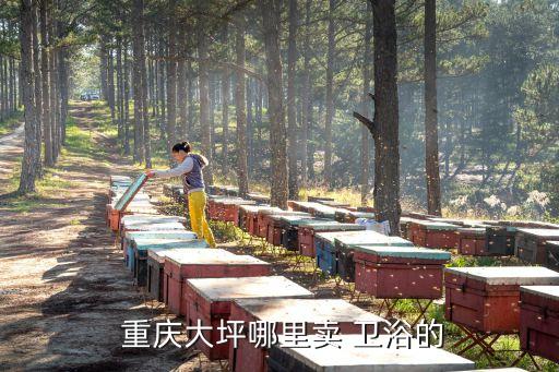 松下衛(wèi)浴 重慶銷售電話,九牧衛(wèi)浴廠家銷售電話