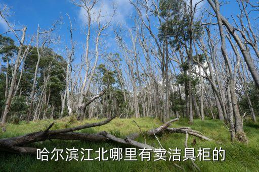 哈爾濱衛(wèi)浴生廠廠家地址