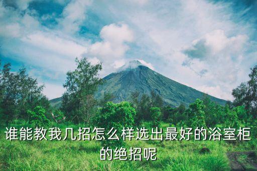衛(wèi)浴專區(qū)展架圖片欣賞,色板展架圖片欣賞