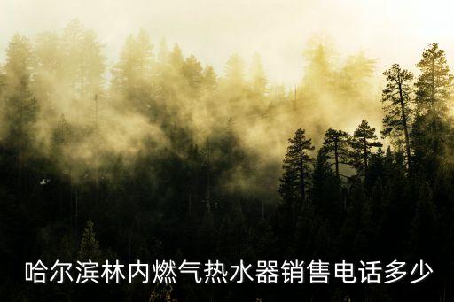  哈爾濱林內(nèi)燃氣熱水器銷售電話多少