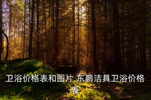 東鵬衛(wèi)浴價(jià)格表和圖片,東鵬潔具衛(wèi)浴價(jià)格表