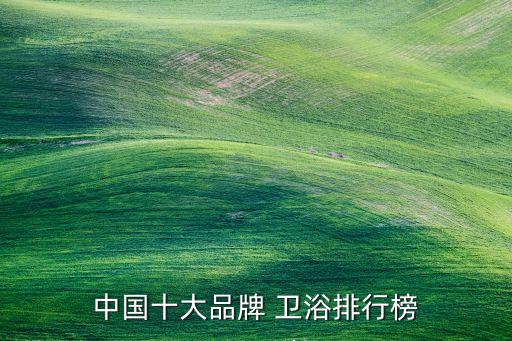 中國十大品牌 衛(wèi)浴排行榜