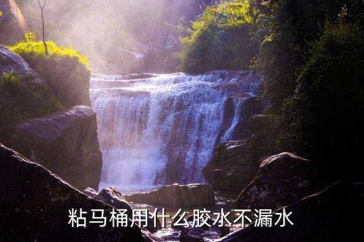 衛(wèi)浴安裝買什么膠好呢圖片