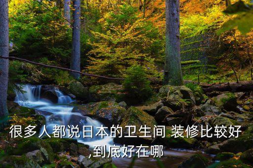 很多人都說(shuō)日本的衛(wèi)生間 裝修比較好,到底好在哪