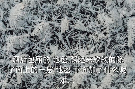  酒店包廂的 地毯,踩起來軟軟的除了面上的一層 地毯,下面加了什么呢難...